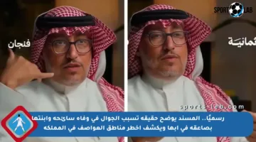 رسميًا.. المسند يوضح حقيقة تسبب الجوال في وفاة سائحة وابنتها بصاعقة في أبها ويكشف أخطر مناطق العواصف في المملكة